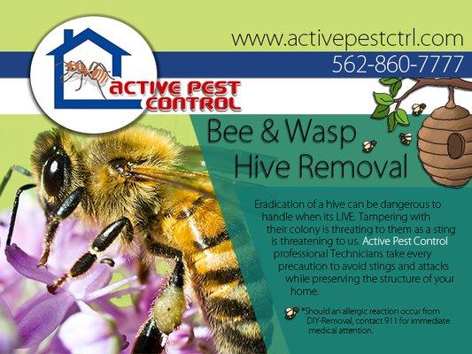 Bee and wasp treatment