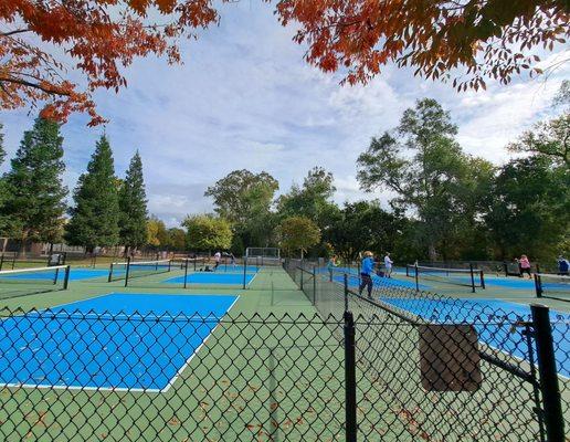 6 new pickleball courts. No lights. No benches on the courts, but there are bleachers.