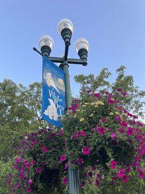 WBL sign July 2024 near waiting line