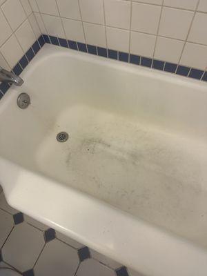 Vintage tub had been resurfaced 30+ years ago and was in bad shape.