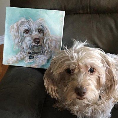 10"x 10" acrylic on canvas. Sweet Lola was such a treat to paint! Commissioned Pet Portrait.