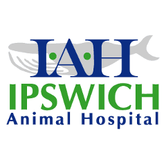 Ipswich Animal Hospital