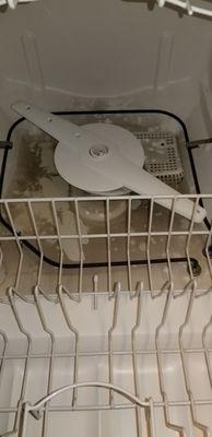 dish washer was floating in moldy, scummy water. Never worked properly.