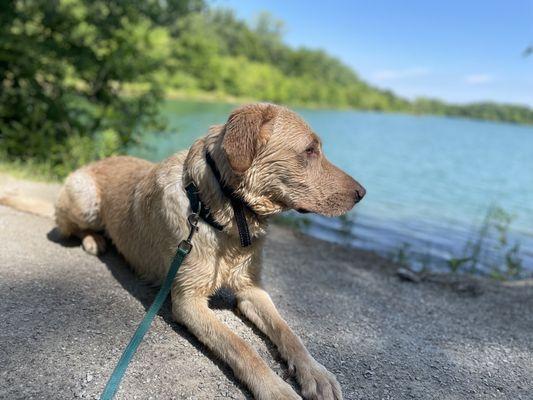 GQ Charlie at Antrim lake