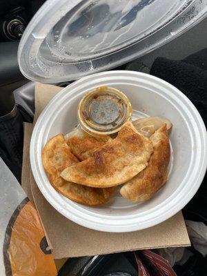 Fried Dumplings