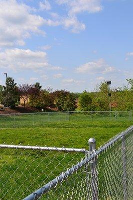 Our fenced in area for the boarding dogs to stretch their legs and play!