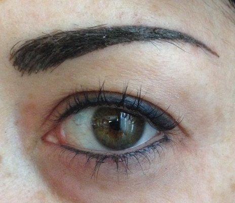 combo brows