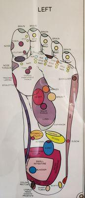 Reflexology