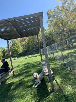 Shaded bench area in dog park area