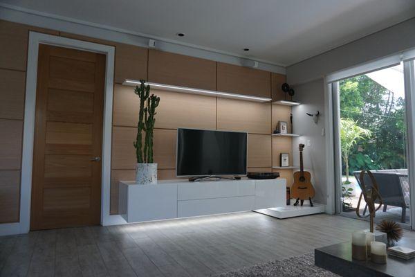 Custom TV Unit