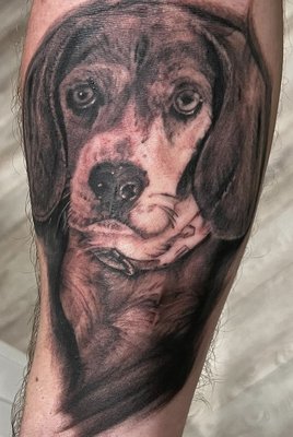 Puppy portrait done by Michelle