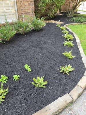 Upgrade your landscaping for a dynamic curb appeal.