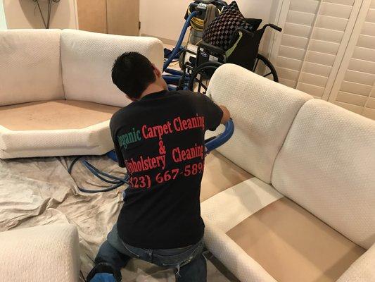 Here is a technician cleaning a couch in a high rise building.