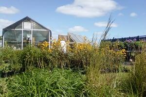 Native Plant Garden.