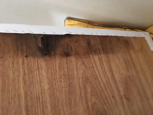 Water damage, rotten wood