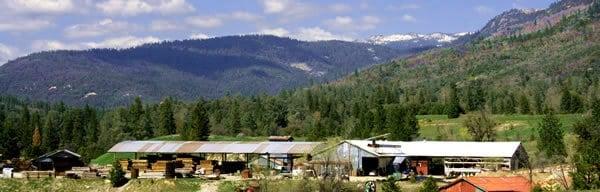 Crossroads Recycled Lumber, located at the site of the old North Fork Mill since 2000