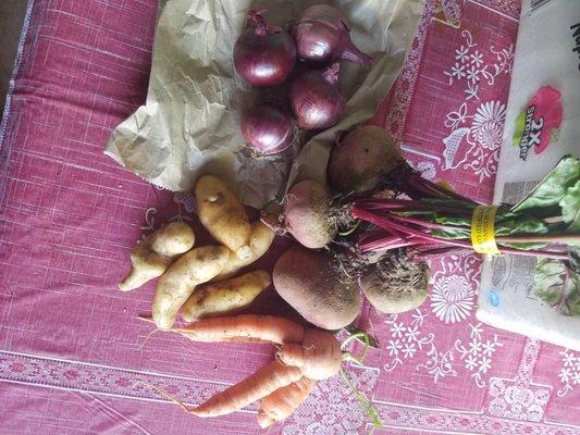 Excellent veggies for stew tonight.