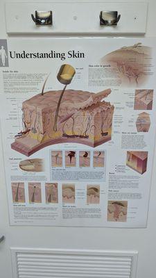 Perry Dermatology and Dermatopathology