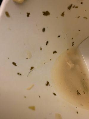 So I always order the chicken noodle soup from wawa but not ANYMORE!!!! After I was FINISHED I noticed HAIR in my soup.