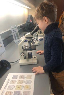 Microscope activity area