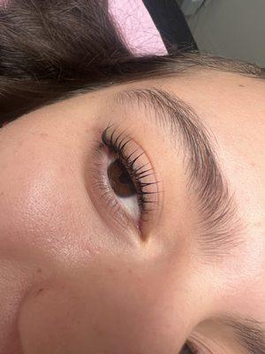 Lash lift with Tint