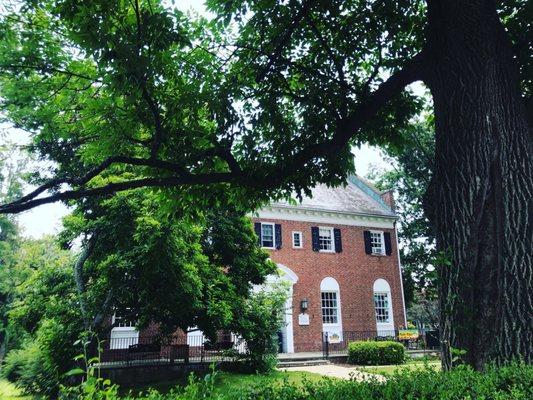 Summer days at my beloved library.