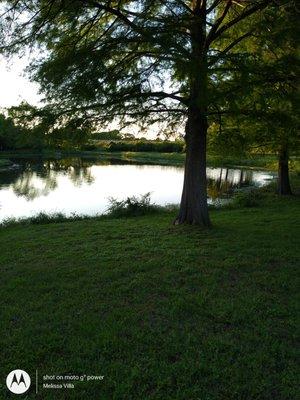 Beautiful pond.