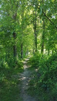 Trails for both walking and biking