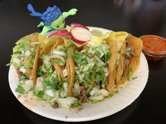 Birria Hard Tacos