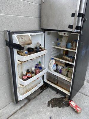 ROTTING FOOD OUTSIDE OF THE DUMPSTER THAT HAS BEEN THERE FOR WEEKS