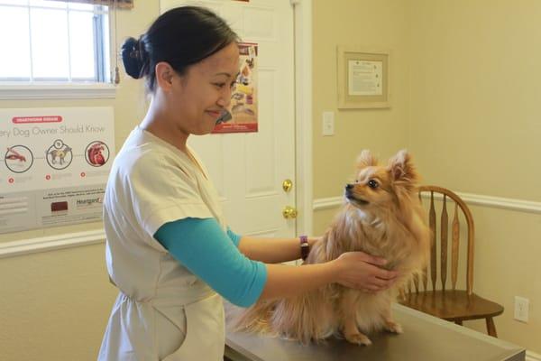 Our assistant, Charissa, who is very sweet to all creatures that come through our door