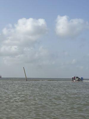 East End Lagoon Preserve