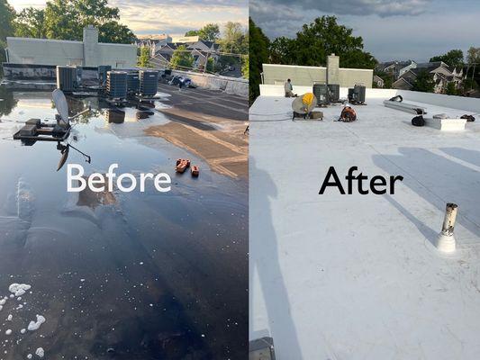 Replace Flat Roof TPO