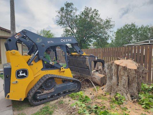 Stump removal