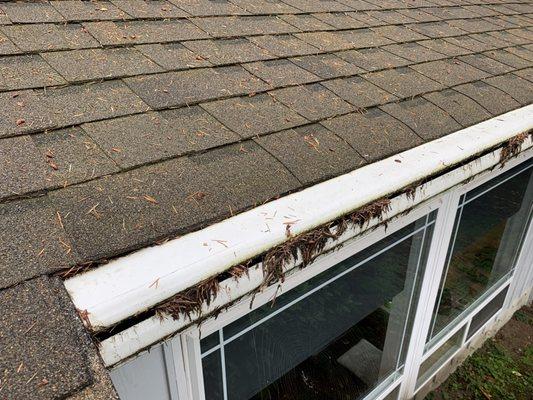 Plugged gutter protection system.