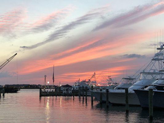 White Marlin Marina