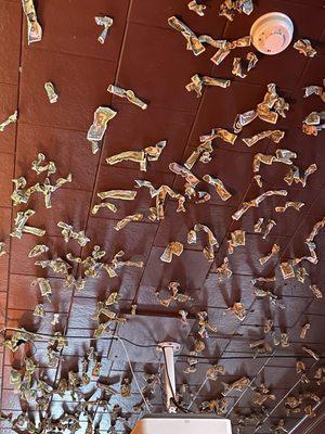 Ceiling full of dollars