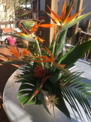 Tropical arrangement