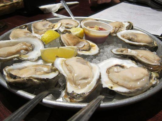 Raw Oysters Available