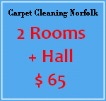 carpet cleaning clermont fl