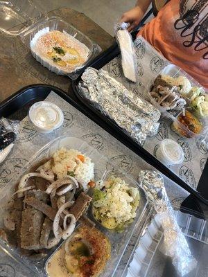 Gyro Plate