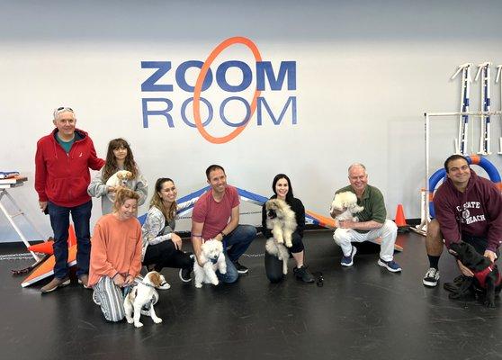 Zoom Room Dog Training