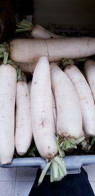 Daikon