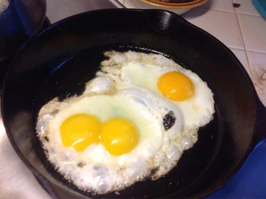 A double yolk.  Fantastic eggs.