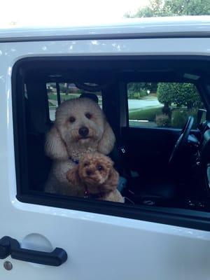 Car Service to the resort