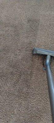 G & G Carpet Cleaning