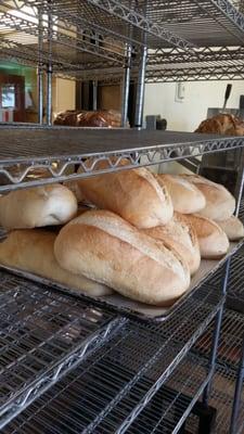 Yummy home made sour dough bread.