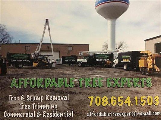 Affordable Tree Experts Inc