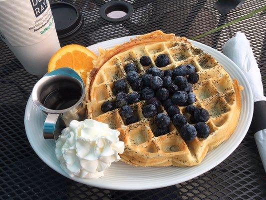 Blueberry waffle