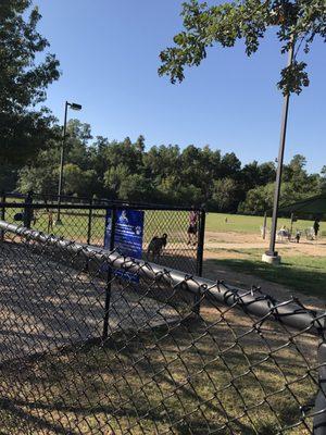 More dog park.